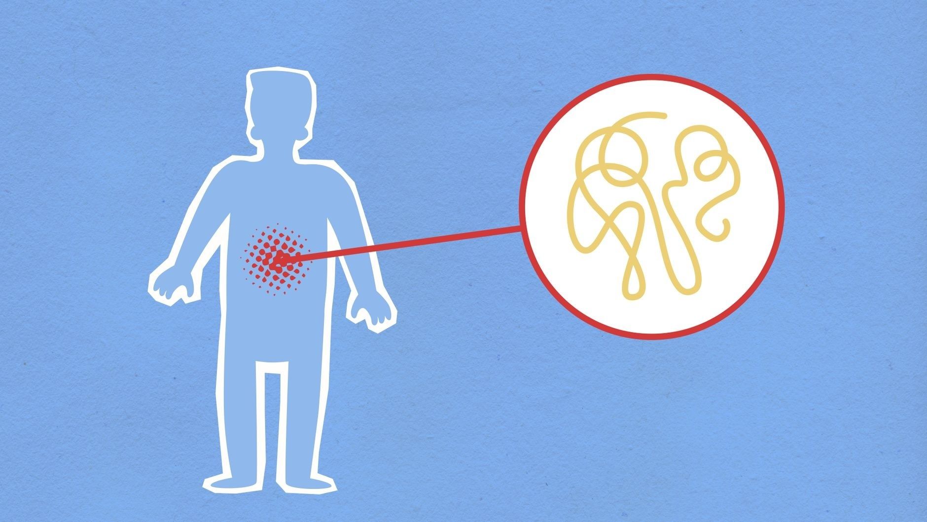 Illustration of tannin-like compounds interacting with the human abdomen
